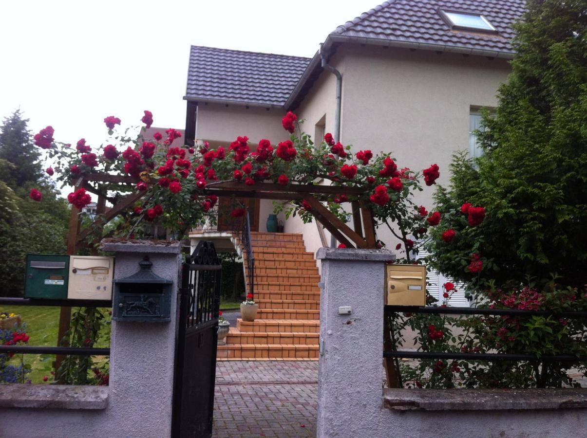 Bel Appartement En Rdc Proche Strasbourg Nice Apartment Very Near Štrasburk Exteriér fotografie